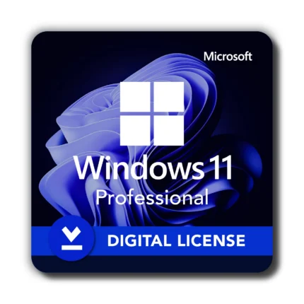 Microsoft Windows 11 Professional